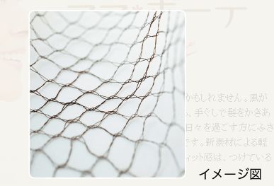 ӂȂł{[e@_C[X
