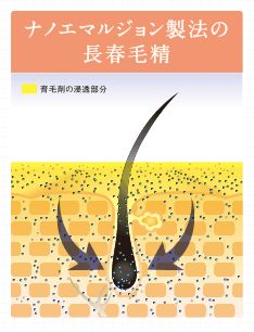 tѐ 